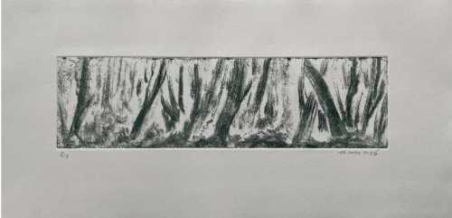 ArtChart | Untitled by Shiva Sarlak