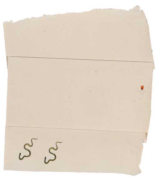 ArtChart | Compost by Leyla Tara