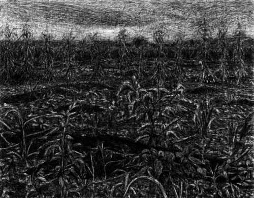 ArtChart | Untitled by Mohammadreza Khalili