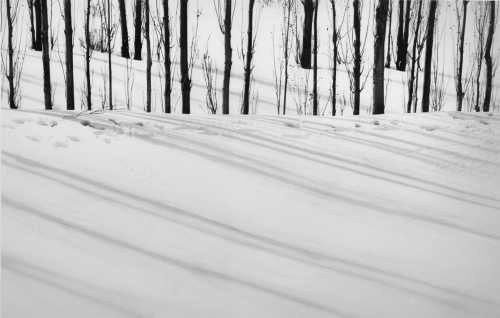 آرتچارت | بدون‌عنوان (از مجموعه سفید‌برفی) از عباس کیارستمی