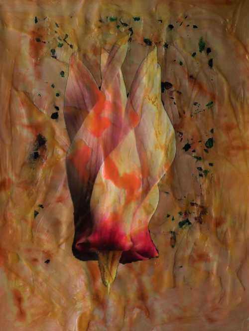 آرتچارت | بدون عنوان از مهرداد پورنظرعلی