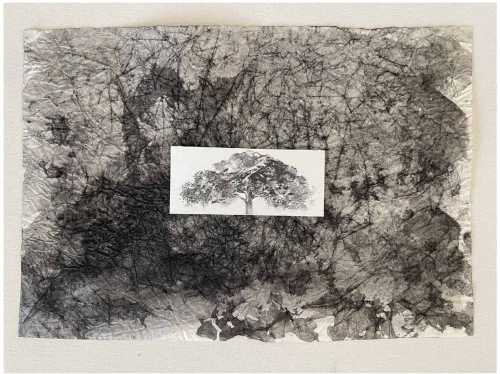 آرتچارت | بدون عنوان از دنا فرخ آذری