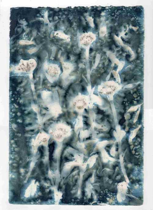 آرتچارت | بدون عنوان از نازلی عباس‌پور