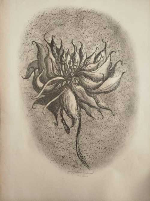 آرتچارت | بدون عنوان از امید بنکدار