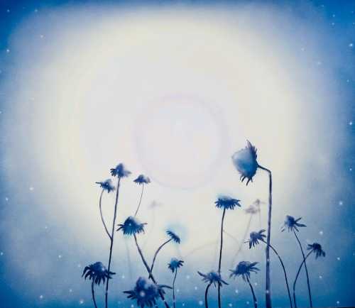 آرتچارت | حمام نور از سام نجاتی