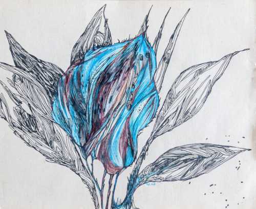 آرتچارت | بدون عنوان از آرزو رمضان‌جماعت