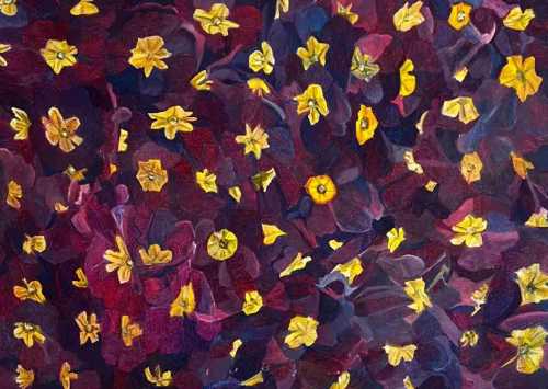 آرتچارت | پامچال‌های بنفش از فرینا بیات