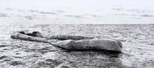 آرتچارت | بدون عنوان از علی فاضلی