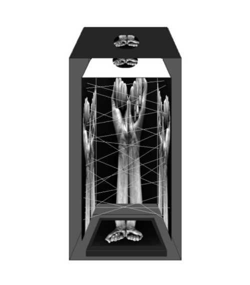 آرتچارت | بقا از آنیتا هاشمی‌مقدم