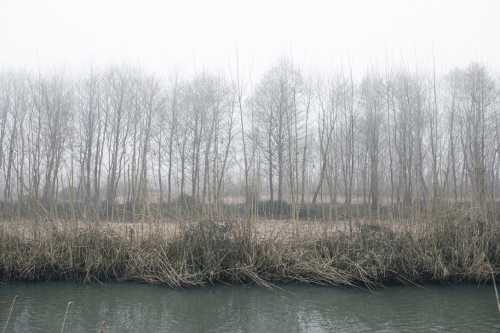 ArtChart | Untitled by Amirhossein Naeima
