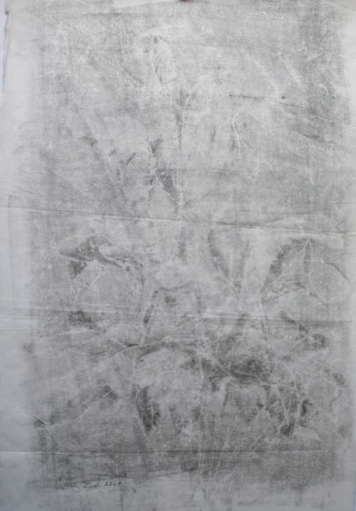 آرتچارت | بدون عنوان از سیما باقرزاده