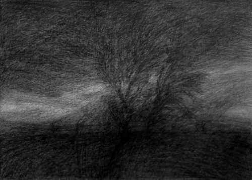 ArtChart | Untitled by Mohammadreza Khalili