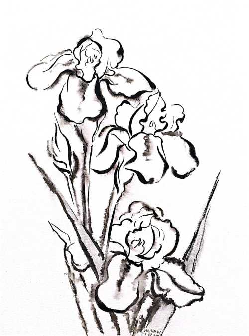 آرتچارت | بدون عنوان از منیر فرمانفرماییان