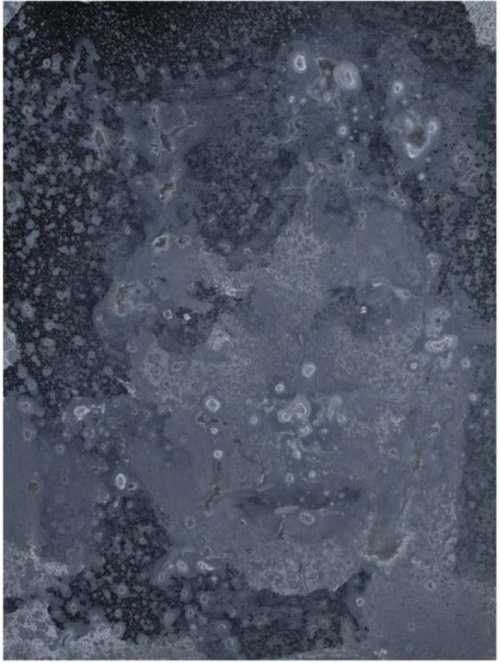 ArtChart | Untitled by Mostafa Seyed Shoja