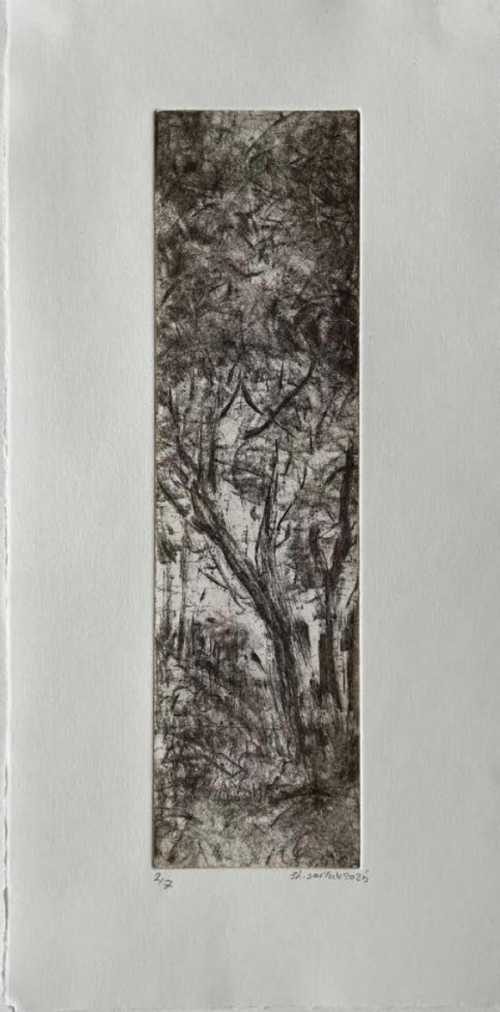 ArtChart | Untitled by Shiva Sarlak