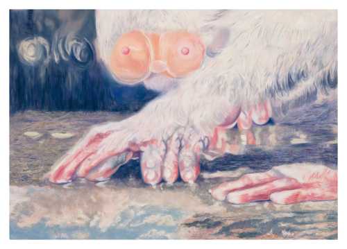 آرتچارت | کیت کت از سینا قدک ساز