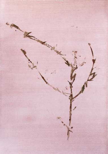 ArtChart | Seasons Poetry by Leila Mirzakhani