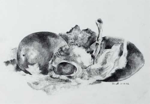 آرتچارت | بدون عنوان از بهمن محصص