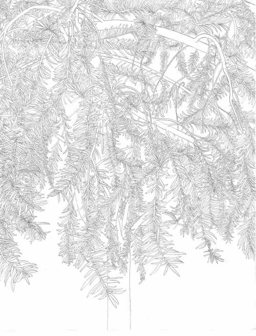 ArtChart | Untitled by Mohadeseh Mohammadi