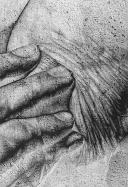 ArtChart | Three by Shaya Shahrestani