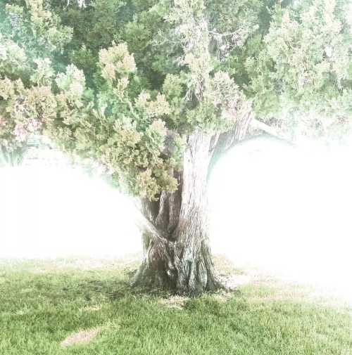 ArtChart | Untitled by Kimia Askarian