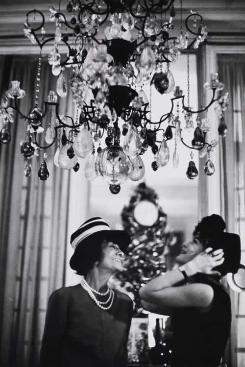 آرتچارت | رومی اشنایدر و کوکو شَنِل از شاهرخ حاتمی