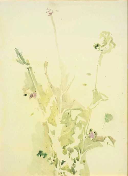 ArtChart | Shape of Plants 1 by Leila Mirzakhani