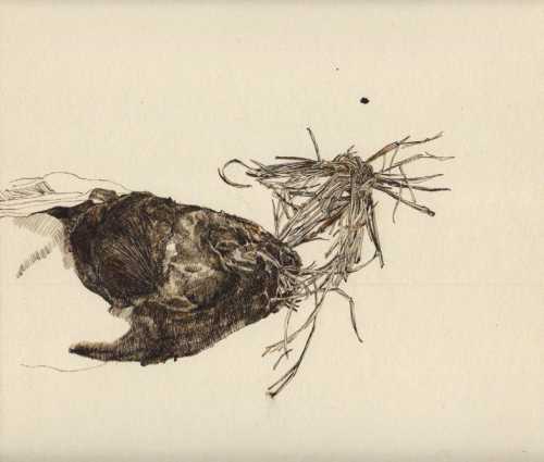 ArtChart | Untitled by Samaneh Motallebi