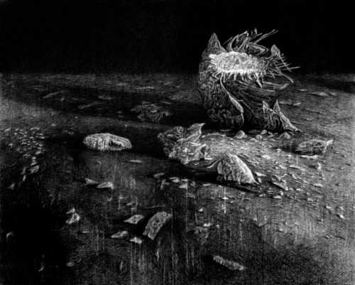 ArtChart | Untitled by Mohammadreza Khalili