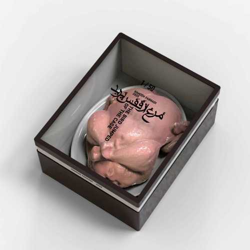 آرتچارت | پرنده از قفس پرید از حمزه فرهادی