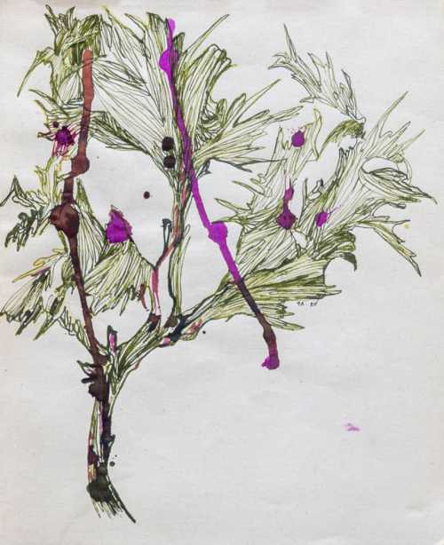 آرتچارت | بدون عنوان از آرزو رمضان‌جماعت