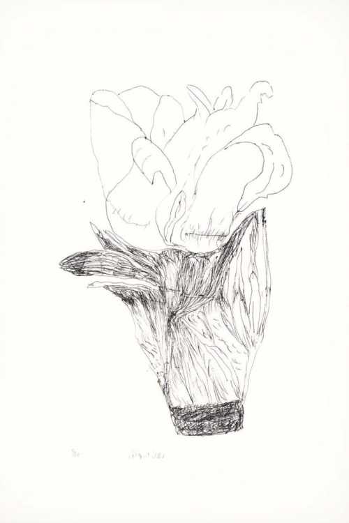 ArtChart | Untitled by Raana Farnoud