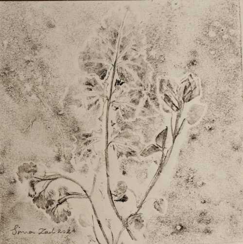 آرتچارت | بدون عنوان از سیما باقرزاده