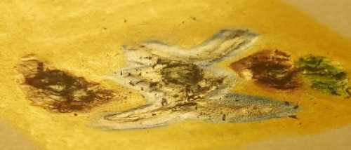 ArtChart | Untitled by Tannaz Boreiry