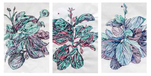 آرتچارت | بدون عنوان از آرزو رمضان‌جماعت