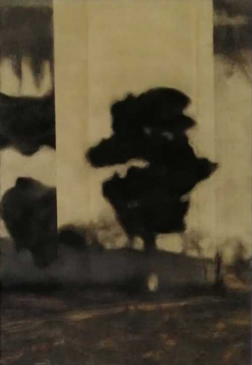 آرتچارت | درختان خارج از کانون 2 از مهرناز میری