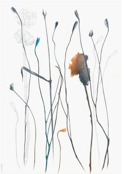 آرتچارت | بدون عنوان از نازیلا مقدم