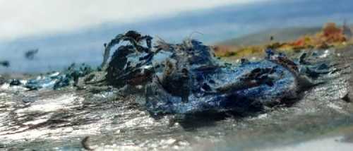 ArtChart | Untitled by Tannaz Boreiry