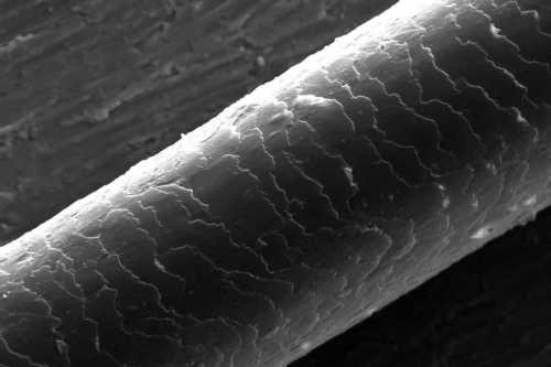 ArtChart | Untitled from the Fragments series by Sana Ahmadizadeh