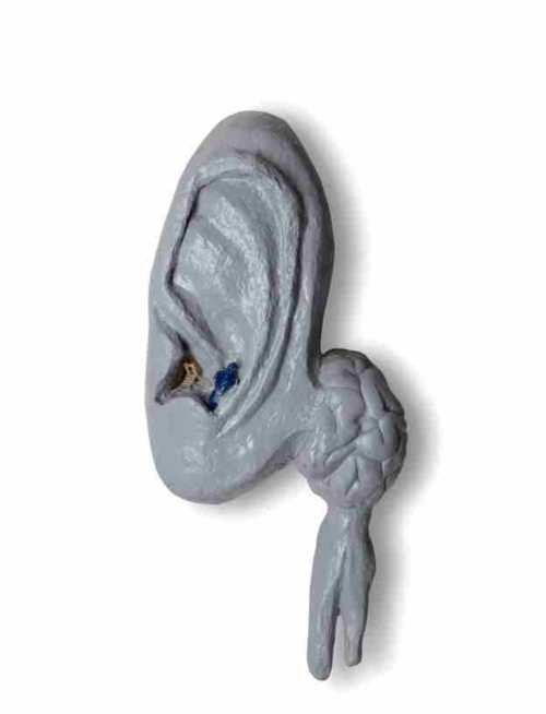 آرتچارت | بدون عنوان از بهناز محمدهادی