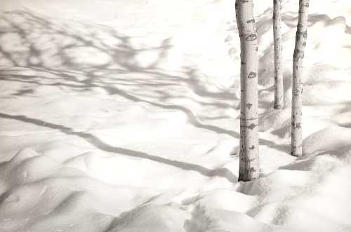 آرتچارت | بدون عنوان از مجموعه سفیدبرفی از عباس کیارستمی