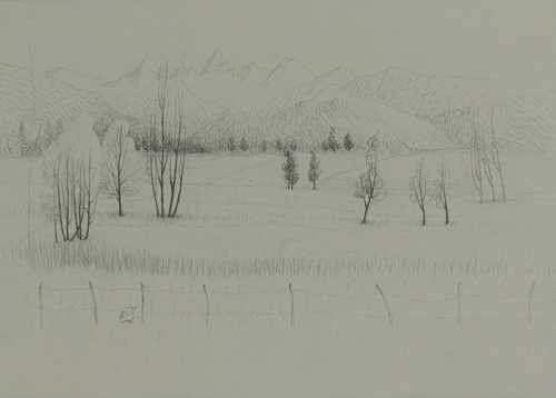 آرتچارت | بدون عنوان از محمد علی ترقی جاه