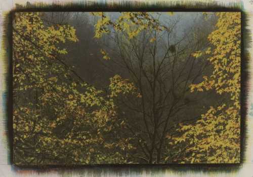 آرتچارت | بدون عنوان از مهرعلی رزاق‌منش