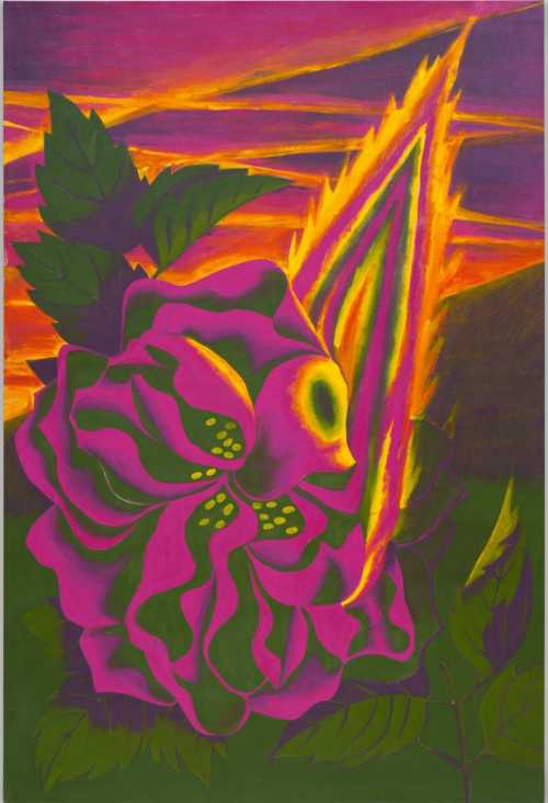 آرتچارت | بدون عنوان از ایمان راد