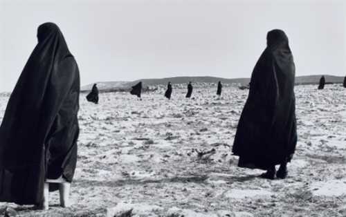 ArtChart | Untitled (Rapture Series) by Shirin Neshat