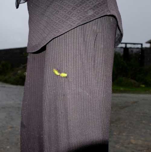 ArtChart | Untitled by Kavian Esmaeili