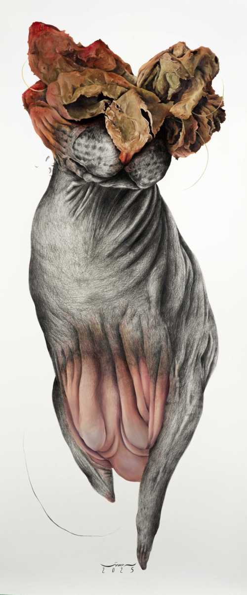 آرتچارت | بدون عنوان از آذین رستمی