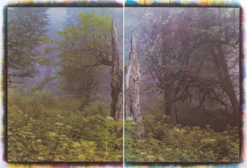 آرتچارت | بدون عنوان از مهرعلی رزاق‌منش