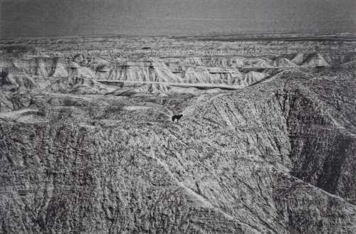 آرتچارت | گزارشی برای دارسی از بابک کاظمی