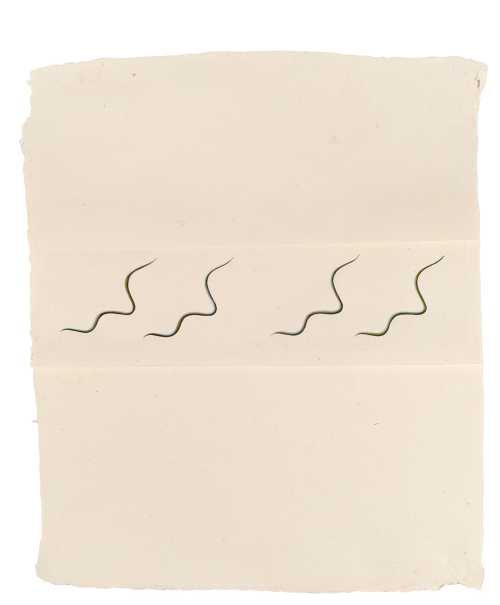 ArtChart | Soil, Soil, Earth in a Plastic Bag by Leyla Tara